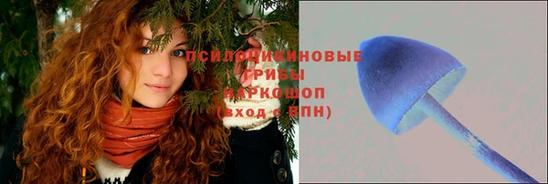 кокаин колумбия Алексин