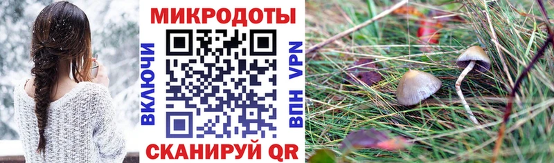 Псилоцибиновые грибы Psilocybine cubensis Рыбное