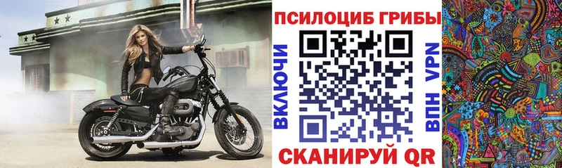 цена наркотик  Рыбное  OMG вход  Псилоцибиновые грибы GOLDEN TEACHER 